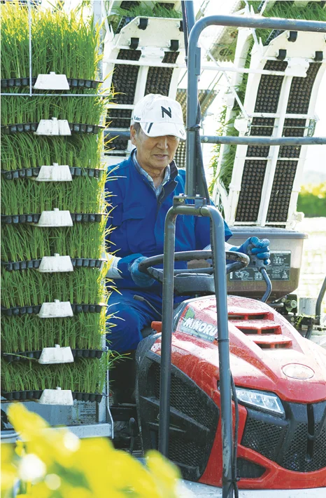 ハウスでの苗づくりと田植え機